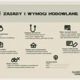 Zasady hodowli psów wg ZKwP i FCI: wymagania, badania, krycie, rejestracja, etyka.