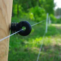 Biały przewód elektryczny biegnie przez czarny izolator przykręcony do drewnianego słupka. Czy pastuch jest legalny? Tło to zielona, rozmyta roślinność.