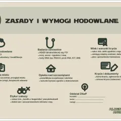 Zasady hodowli psów wg ZKwP i FCI: wymagania, badania, krycie, rejestracja, etyka.