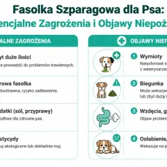 Czy pies może jeść fasolkę szparagową? Informacje o zagrożeniach: zbyt duże ilości, surowa fasolka, dodatki, pestycydy. Objawy niepożądane: wymioty, biegunka, wzdęcia, osłabienie.