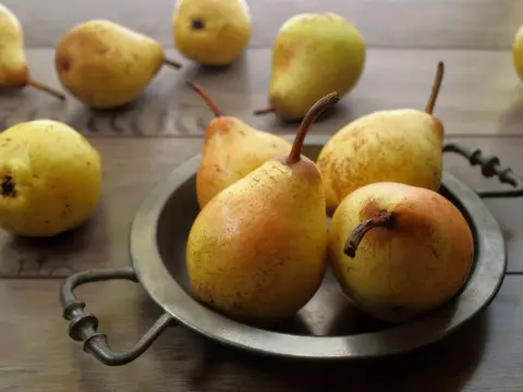 Czy pies może jeść gruszkę? Kiedy tak, a kiedy lepiej nie