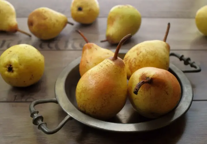 Gruszki na talerzu. Czy pies może jeść gruszkę? Tak, ale bez pestek i ogonka.