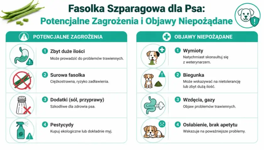 Czy pies może jeść fasolkę szparagową? Informacje o zagrożeniach: zbyt duże ilości, surowa fasolka, dodatki, pestycydy. Objawy niepożądane: wymioty, biegunka, wzdęcia, osłabienie.