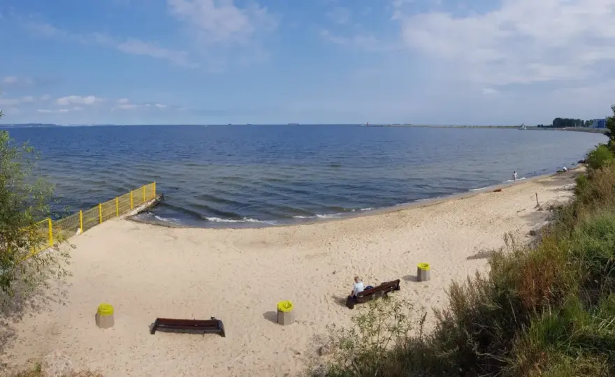 Plaża dla psów - jak wybrać bezpieczne miejsce nad wodą